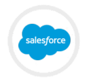 sales force developers